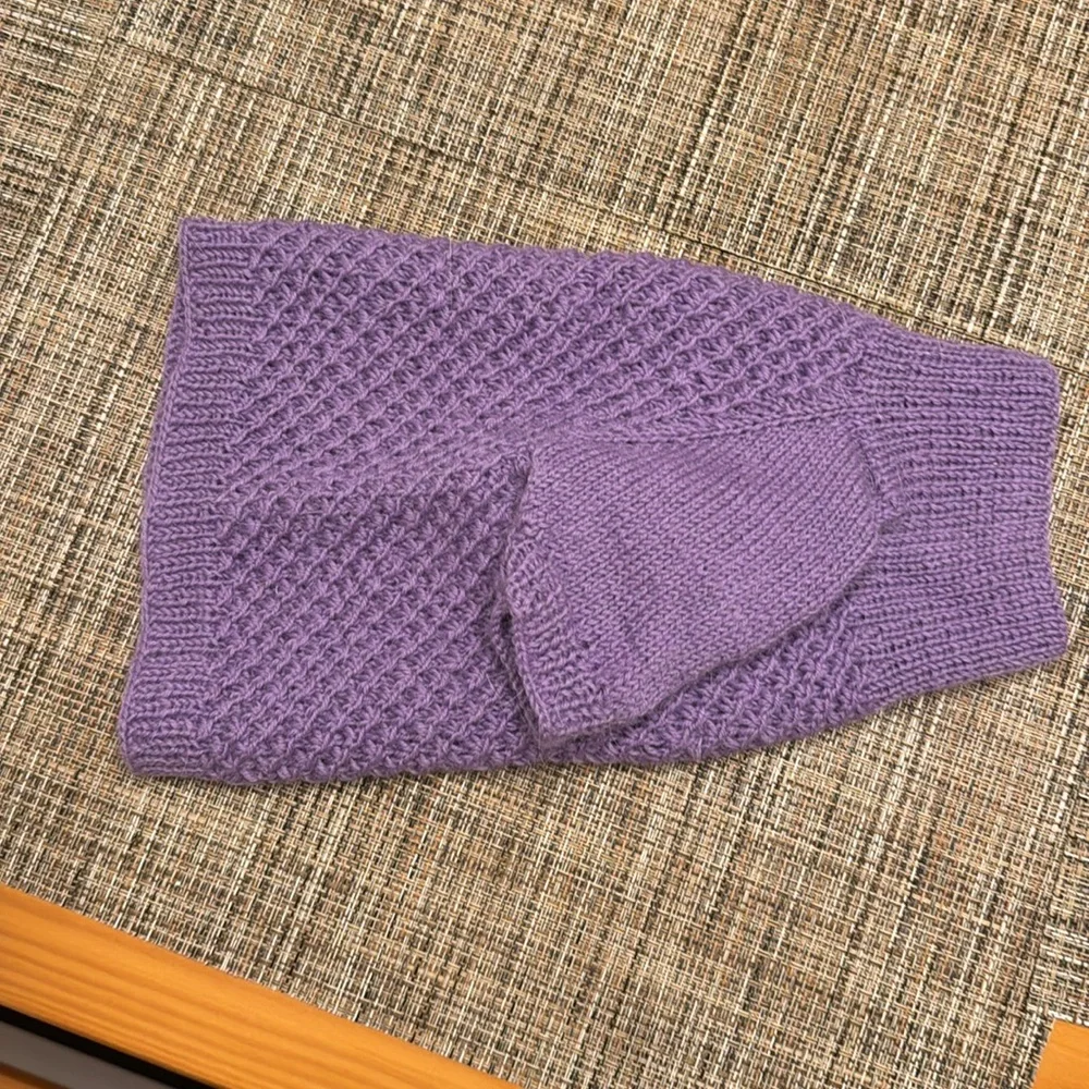 Purple Cat sweater